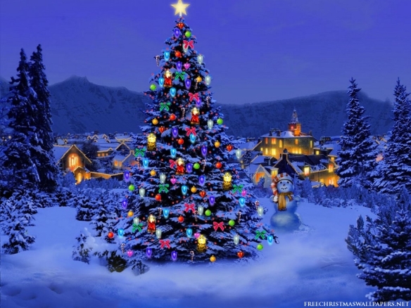Christmas-Tree-Nature1024-226431 - 2013